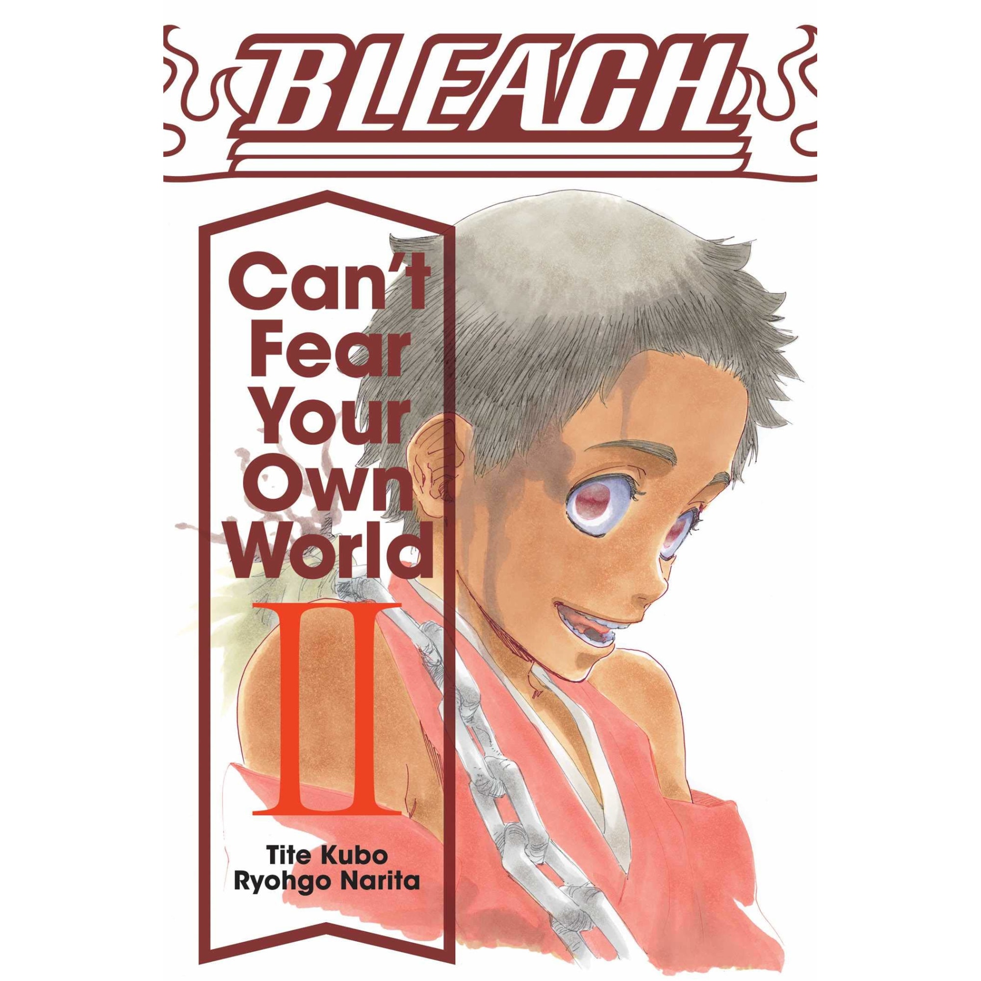 Bleach: Can't Fear Your Own World, Vol. 2 - Ryohgo Narita, editia 2020