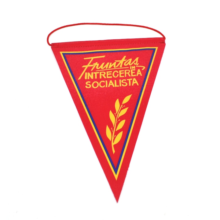 Fanion - Fruntas in Intrecerea Socialista