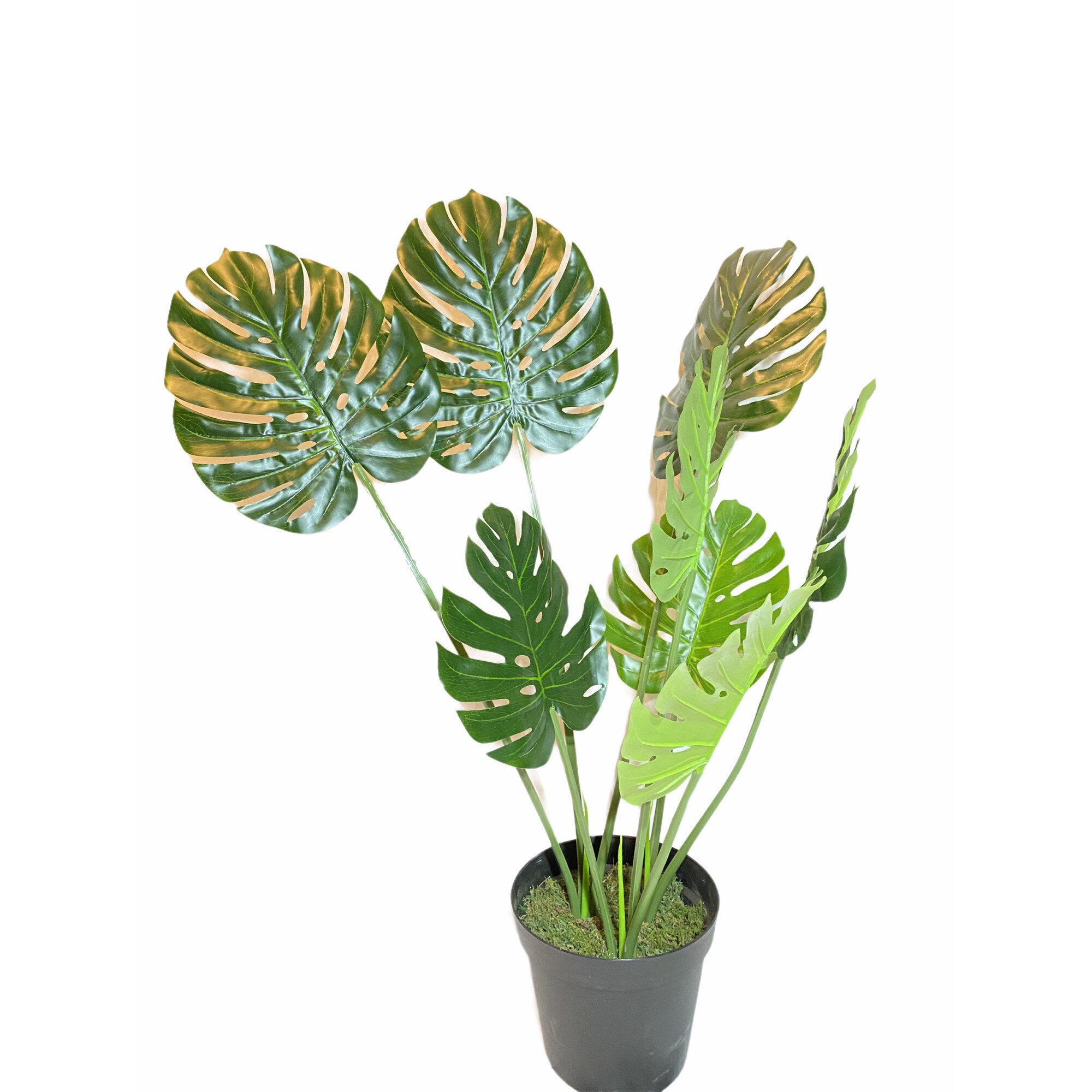 Planta artificiala Monstera in ghiveci, Atelier, 125cm, Verde