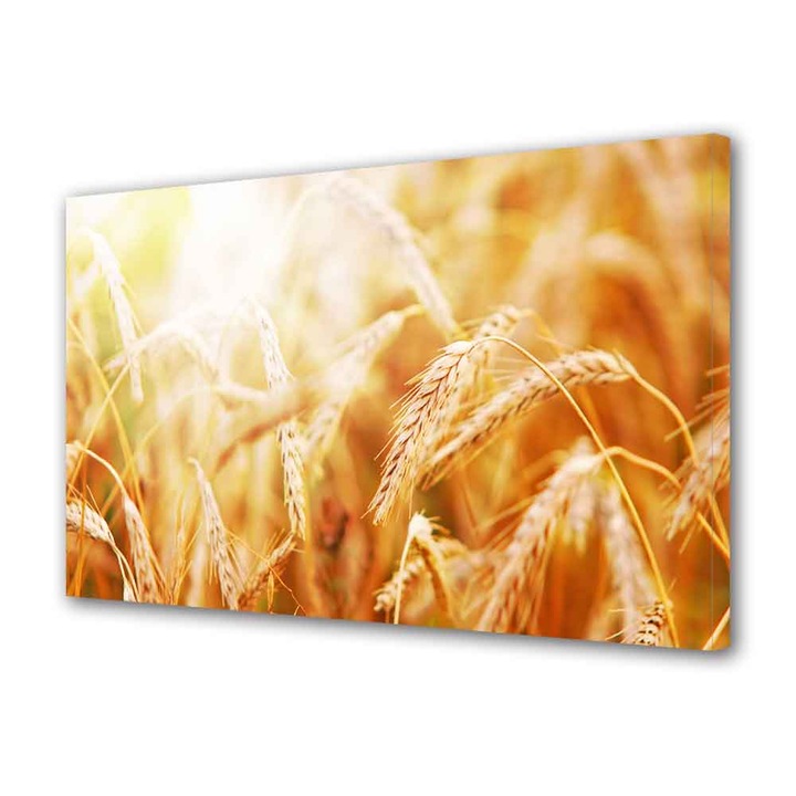 Tablou Canvas Grau, 40 x 60 cm