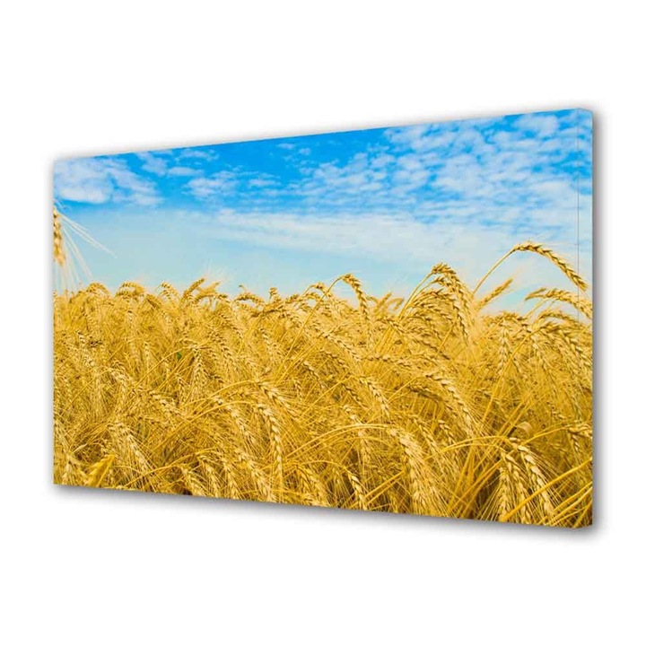 Tablou Canvas, Campie cu grau, 30 x 45 cm