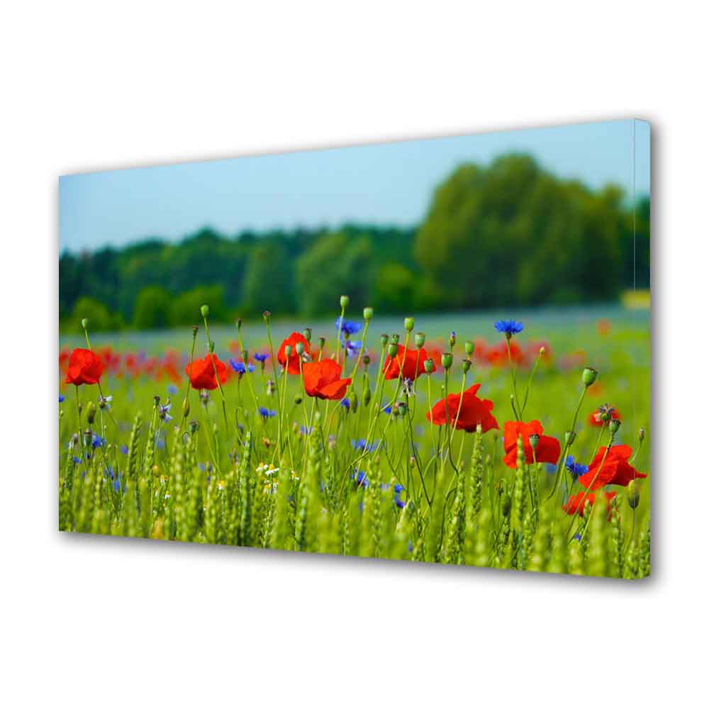 Tablou Canvas Floricele pe campie, 40 x 60 cm