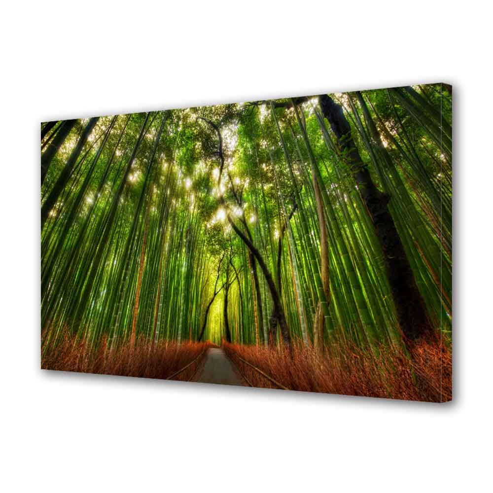 Tablou Canvas Padure de bambus, 40 x 60 cm