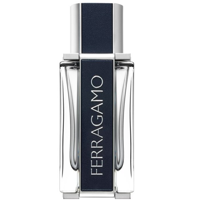 Apa de Toaleta Salvatore Ferragamo, Ferragamo, Barbati, 50 ml