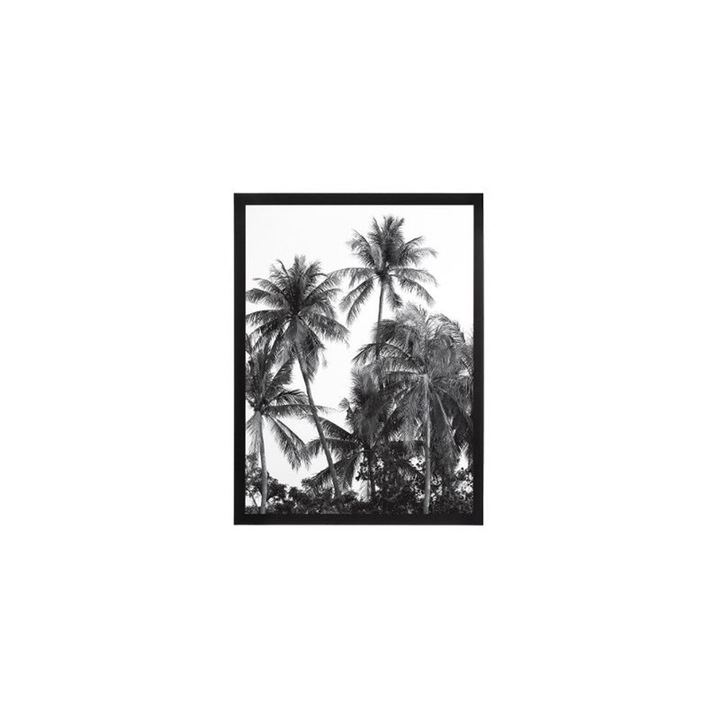 Tablou deco Palms, geam sticla, rama MDF, 32x42 cm
