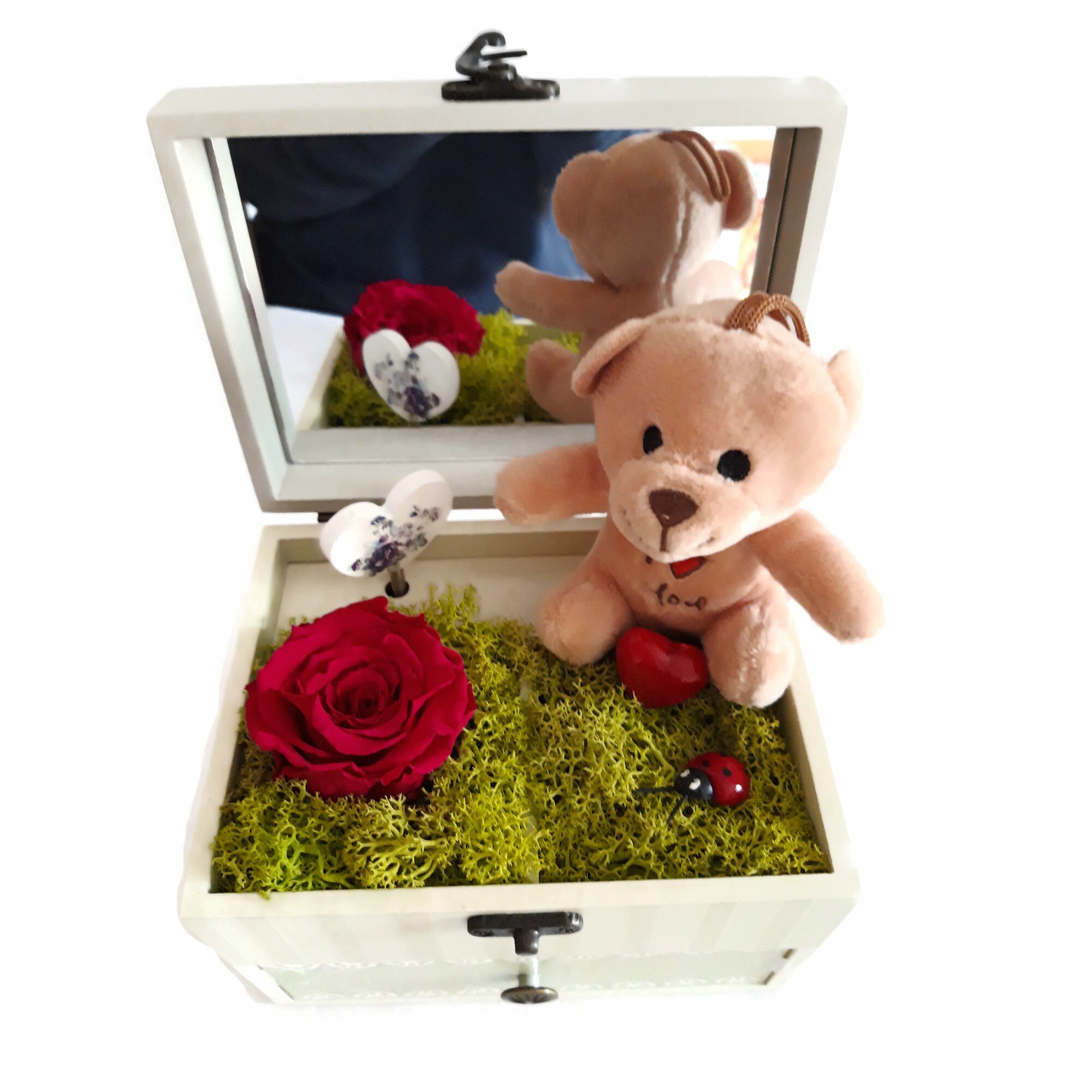 Trandafir criogenat rosu in cutie de bijuterii muzicala si ursulet de plus