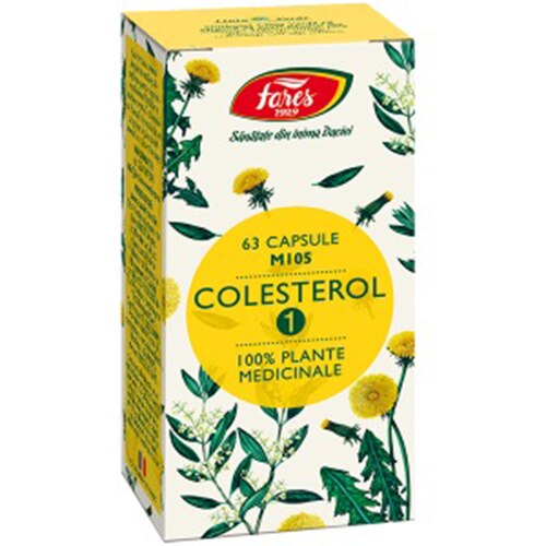Supliment alimentar Colesterol 1, 63 capsule