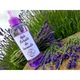 Опаковка от 30 Лавандулова вода, Creatii din lavanda 30x100 мл