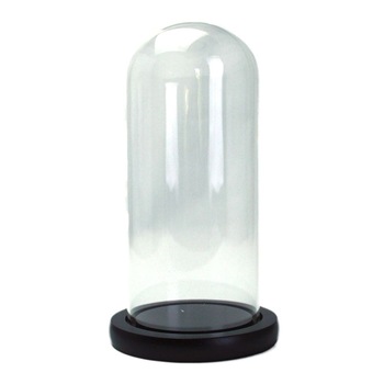 Cupola de sticla transparenta, baza lemn negru, diametru 12,5 cm, inaltime 25 cm Cupola de sticla transparenta, baza lemn negru, diametru 12,5 cm, inaltime 25 cm