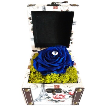 Aranjament cu trandafir criogenat albastru, marime XL, in cufar de lemn cu piele Aranjament cu trandafir criogenat albastru, marime XL, in cufar de lemn cu piele