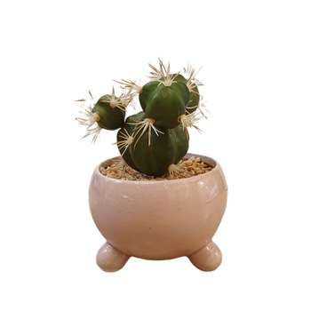 Flori artificiala cactus in ghiveci ceramic roz,14 cm Flori artificiala cactus in ghiveci ceramic roz,14 cm