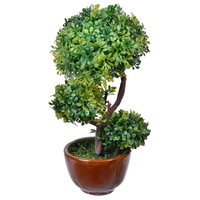 ghiveci ornamental cu bonsai lioness 19 cm imagen 4_0_
0