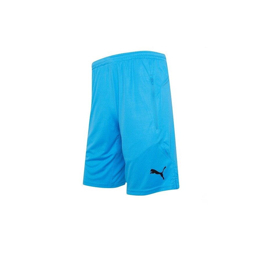 Pantaloni scurti Puma Referee, Albastru