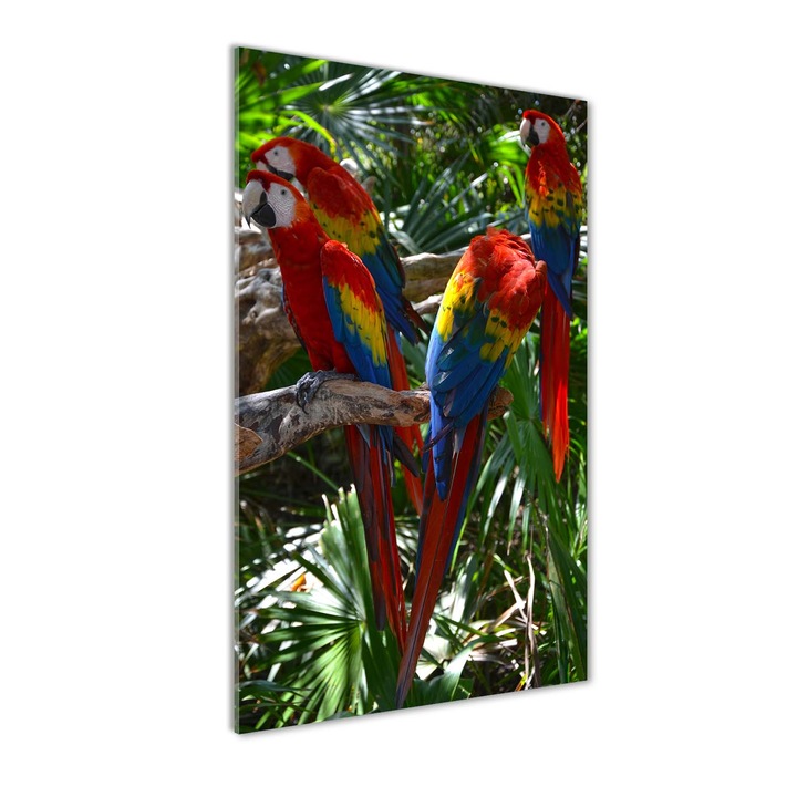 Tablou pe sticla acrilica. Tulup. Imagine imprimata pe sticla acrilica. Decorarea peretilor. papagali Macaws. 70x140 cm