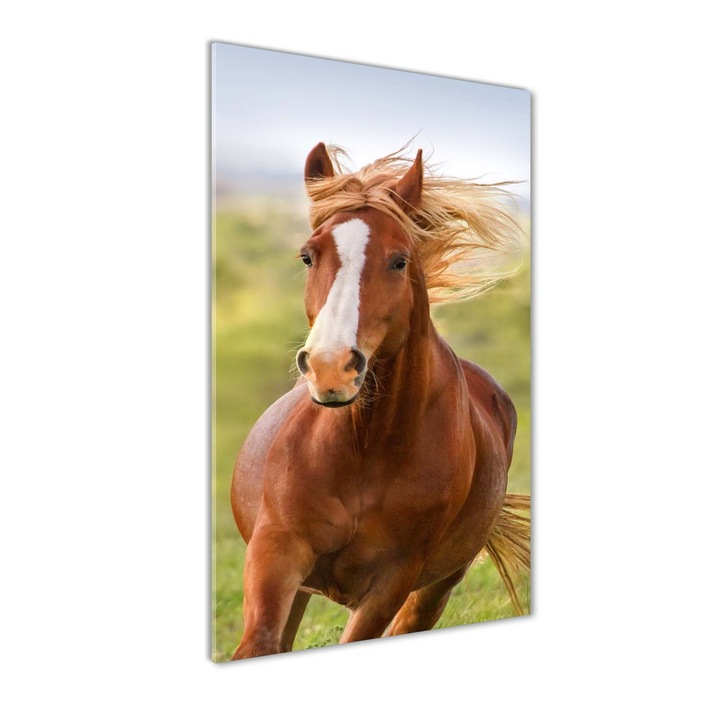 Tablou pe sticla, Tulup, Imagine imprimata sticla, Decorarea peretilor, Un cal in galop, 70x140 cm