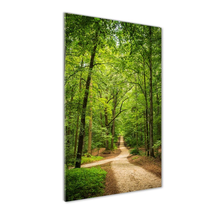 Tablou pe sticla. Tulup. Imagine imprimata sticla. Decorarea peretilor. Calea in padure. 70x140 cm