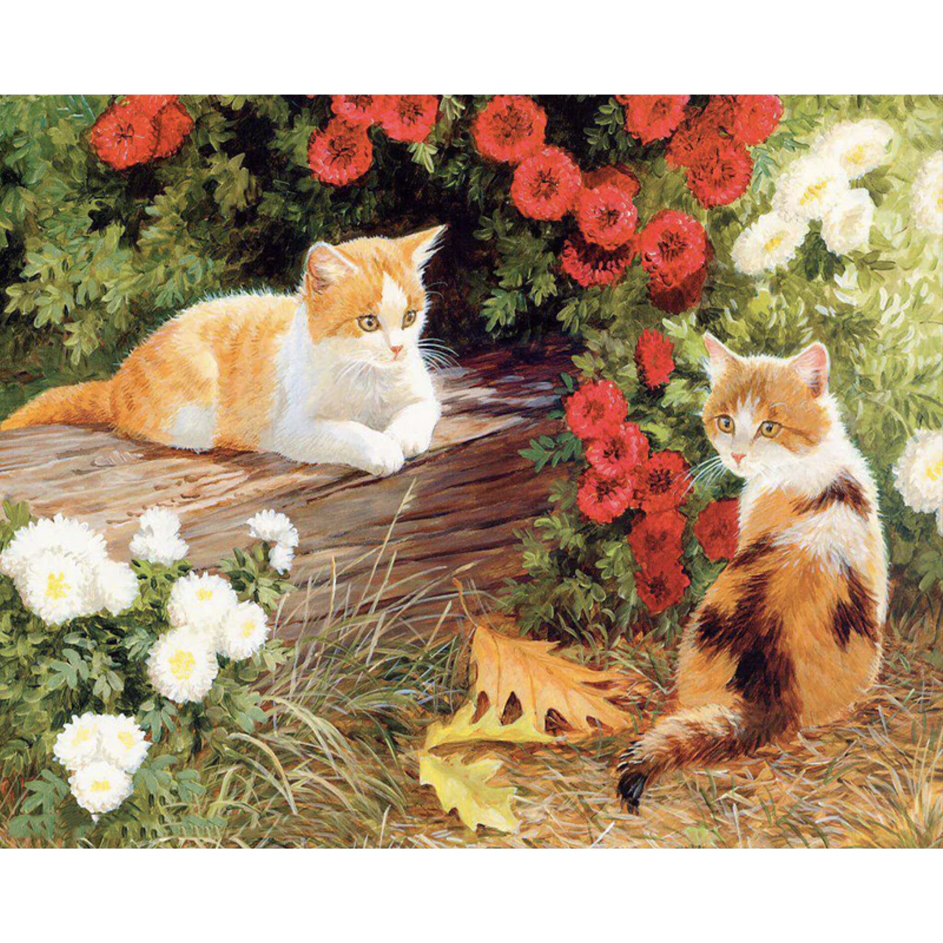 Pictura pe numere Criando (set) 50x65 cm - Panza din bumbac pe rama de lemn (PDP-8)