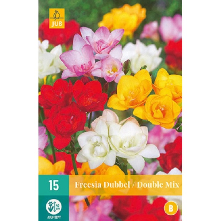 Freéziák Double Mix, Jub Holland, virághagymák, 15 darab
