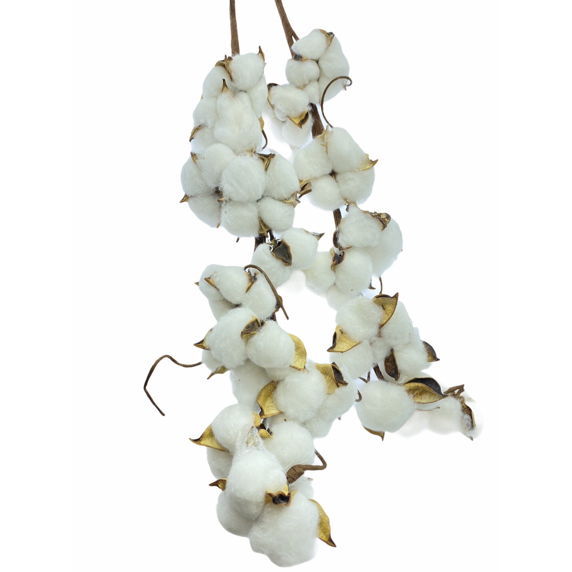 Set 2 plante artificiale bumbac, Atelier, 60cm