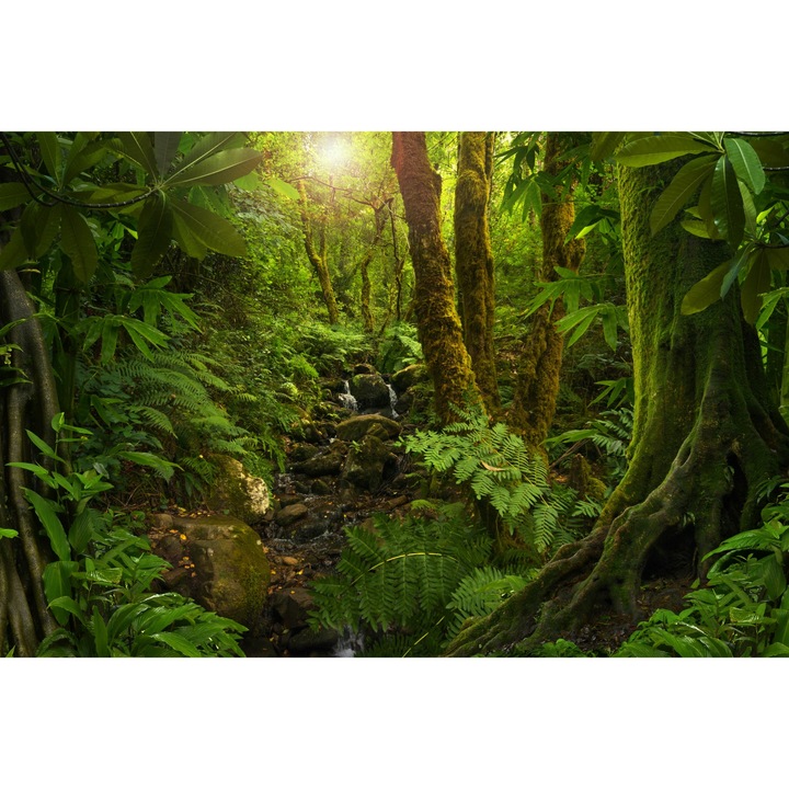 Fototapet 3D pentru living padure copaci frunze 315cm x 210cm Vedere, Decorativ, Living, Soare, Natura