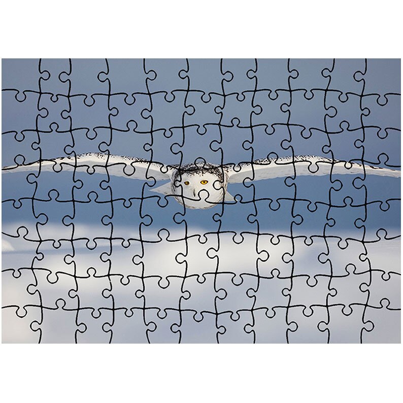 Puzzle Heartwork 96 piese, Bufnita alba, Latime 40,5 cm x Inaltime 28,5 cm