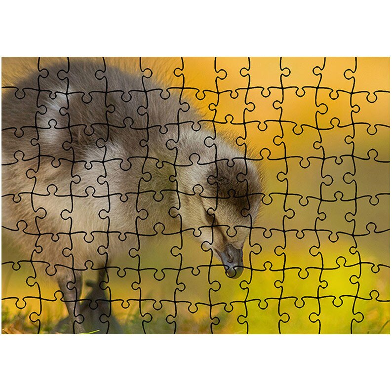 Puzzle Heartwork 96 piese, Pui de rata, Latime 40,5 cm x Inaltime 28,5 cm