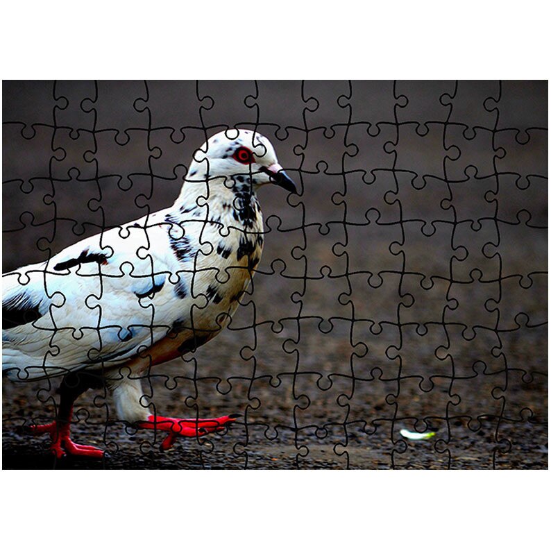 Puzzle Heartwork 96 piese, Pescarus pestrit, Latime 40,5 cm x Inaltime 28,5 cm