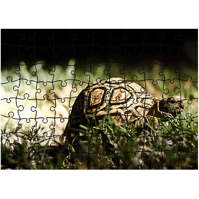 Puzzle Heartwork 96 piese, Broasca testoasa, Latime 40,5 cm x Inaltime 28,5 cm