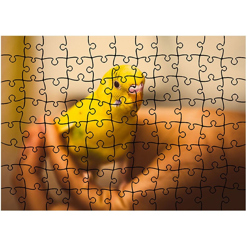 Puzzle Heartwork 96 piese, Papagal de casa, Latime 40,5 cm x Inaltime 28,5 cm