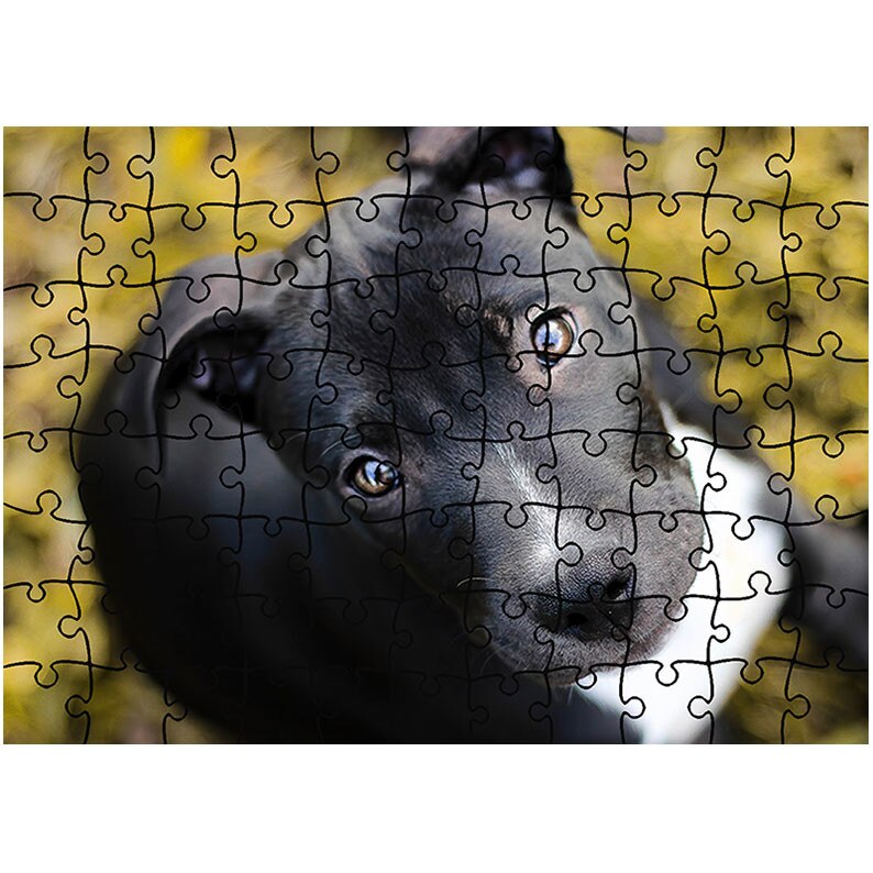 Puzzle Heartwork 96 piese, Catelus care implora, Latime 40,5 cm x Inaltime 28,5 cm