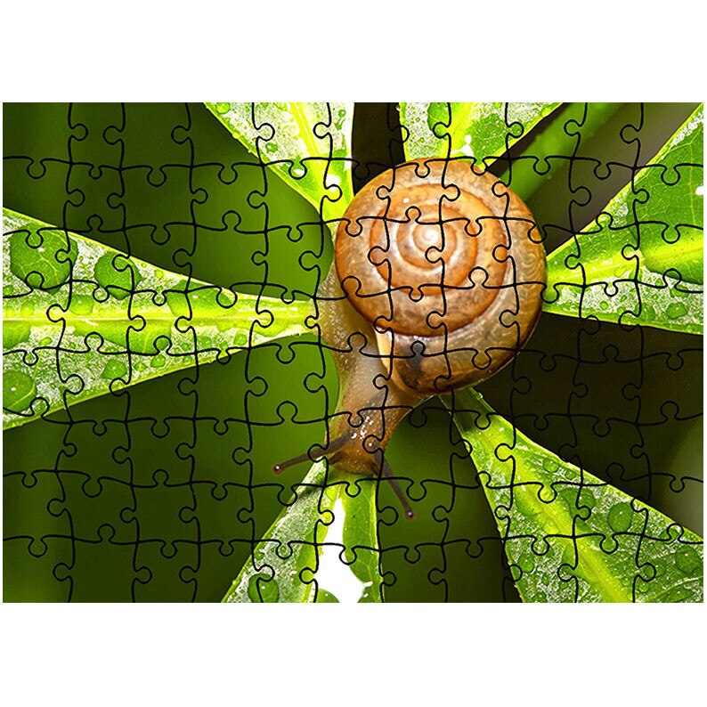 Puzzle Heartwork 96 piese, Melc dupa ploaie, Latime 40,5 cm x Inaltime 28,5 cm