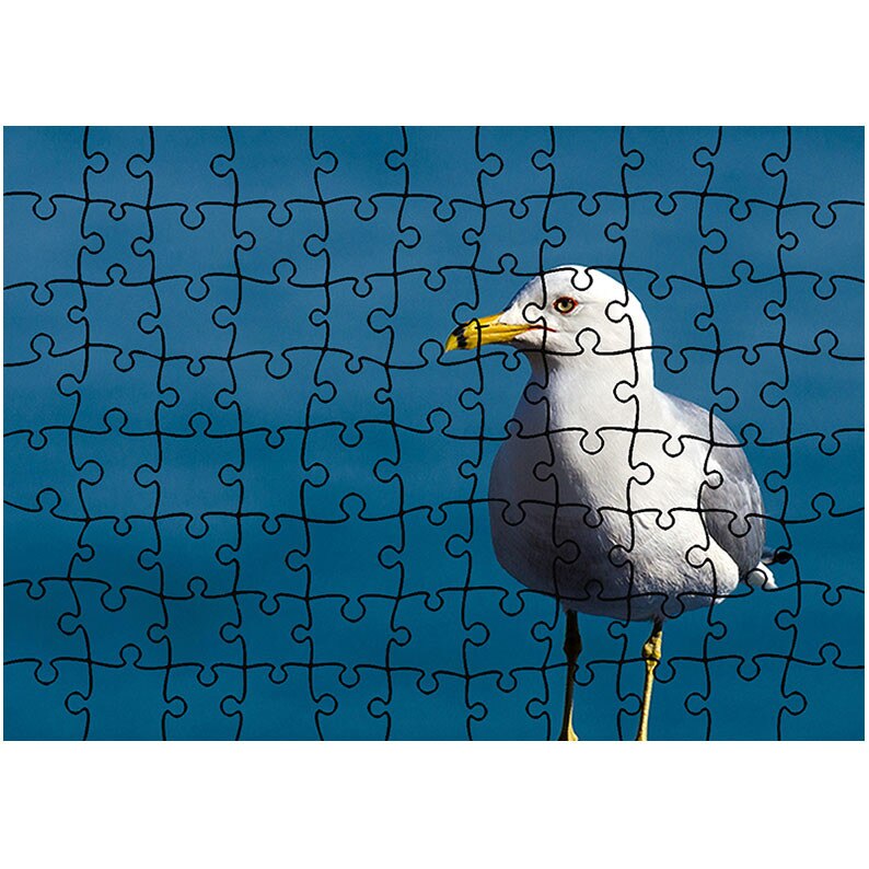 Puzzle Heartwork 96 piese, Pescarus curios, Latime 40,5 cm x Inaltime 28,5 cm