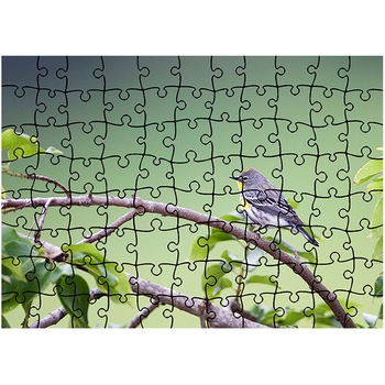 Puzzle Heartwork 96 piese, Pasare mica gri, Latime 40,5 cm x Inaltime 28,5 cm Puzzle Heartwork 96 piese, Pasare mica gri, Latime 40,5 cm x Inaltime 28,5 cm