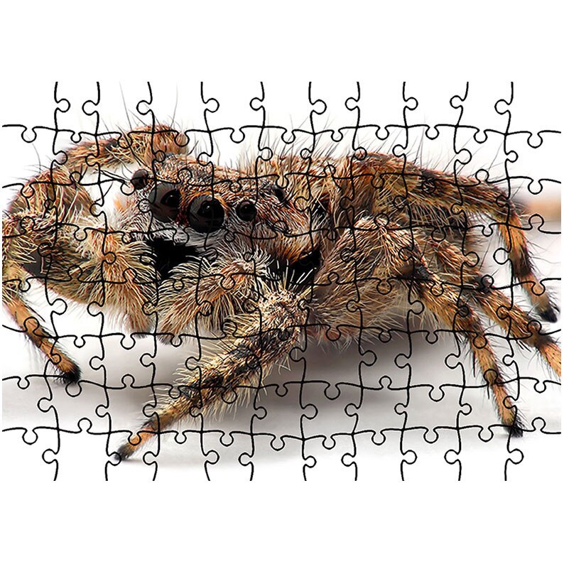 Puzzle Heartwork 96 piese, Paianjen tarantula, Latime 40,5 cm x Inaltime 28,5 cm