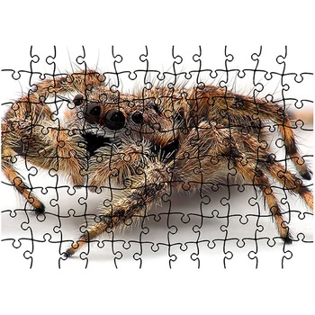 Puzzle Heartwork 96 piese, Paianjen tarantula, Latime 40,5 cm x Inaltime 28,5 cm Puzzle Heartwork 96 piese, Paianjen tarantula, Latime 40,5 cm x Inaltime 28,5 cm