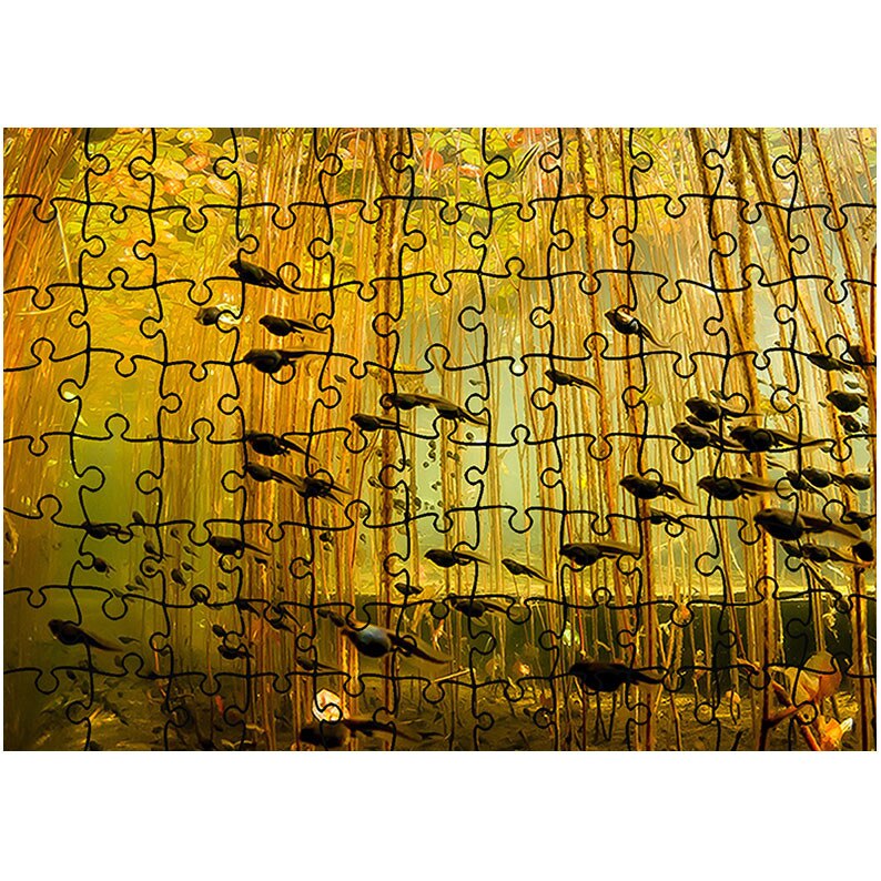 Puzzle Heartwork 96 piese, Mormoloci, Latime 40,5 cm x Inaltime 28,5 cm