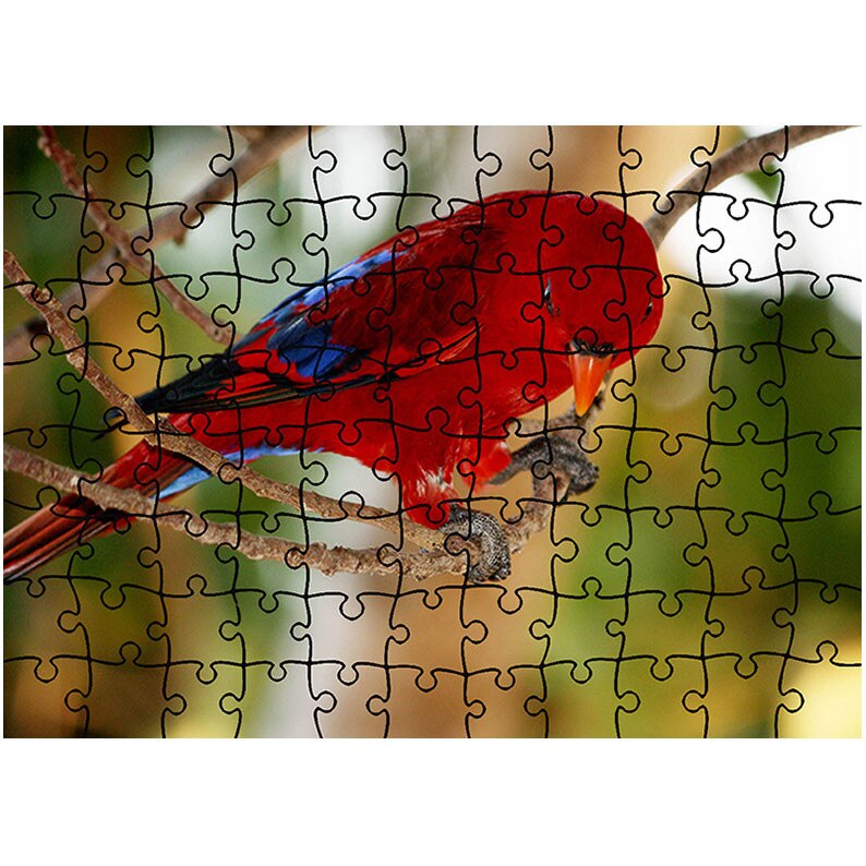 Puzzle Heartwork 96 piese, Pasare colorata, Latime 40,5 cm x Inaltime 28,5 cm