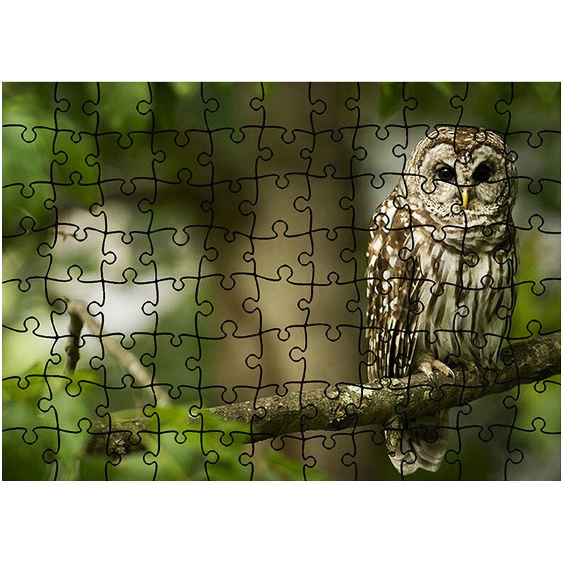 Puzzle Heartwork 96 piese, Bufnita pe creanga, Latime 40,5 cm x Inaltime 28,5 cm