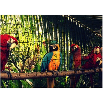 Puzzle Heartwork 96 piese, Papagali Roiali, Latime 40,5 cm x Inaltime 28,5 cm Puzzle Heartwork 96 piese, Papagali Roiali, Latime 40,5 cm x Inaltime 28,5 cm