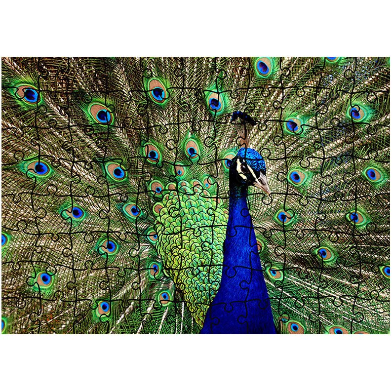 Puzzle Heartwork 96 piese, Paun maiestuos, Latime 40,5 cm x Inaltime 28,5 cm