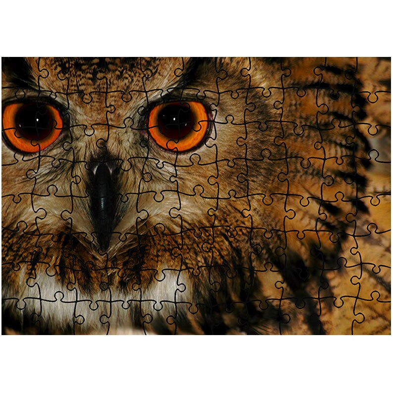 Puzzle Heartwork 96 piese, Privire de bufnita, Latime 40,5 cm x Inaltime 28,5 cm