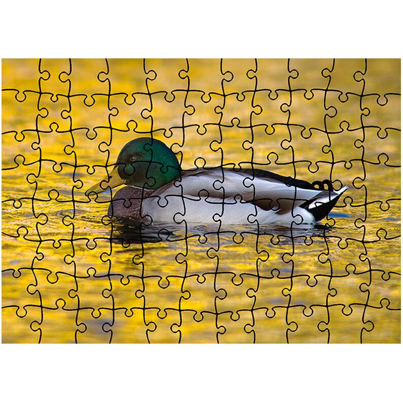 Puzzle Heartwork 96 piese, Rata colorata, Latime 40,5 cm x Inaltime 28,5 cm