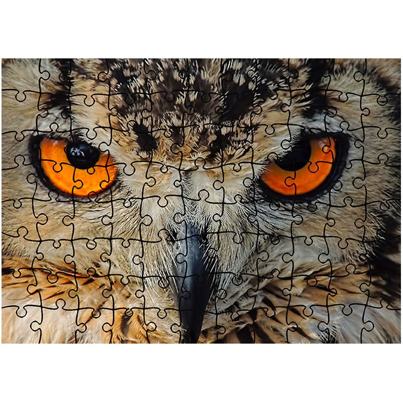 Puzzle Heartwork 96 piese, Privire de bufnita indiana, Latime 40,5 cm x Inaltime 28,5 cm