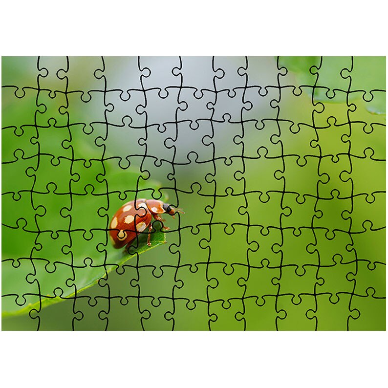 Puzzle Heartwork 96 piese, Gargarita cu pete albe, Latime 40,5 cm x Inaltime 28,5 cm