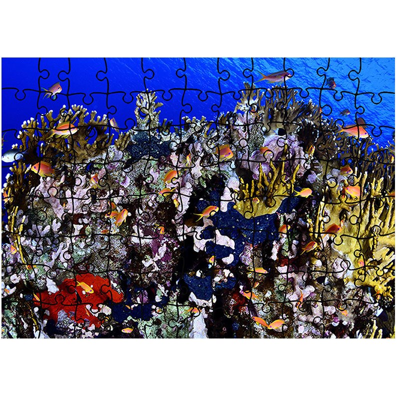 Puzzle Heartwork 96 piese, Populatie de pesti in marea rosie, Latime 40,5 cm x Inaltime 28,5 cm