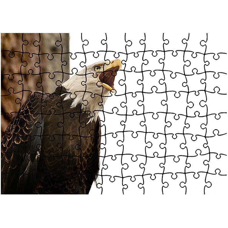 Puzzle Heartwork 96 piese, Soim amenintator, Latime 40,5 cm x Inaltime 28,5 cm