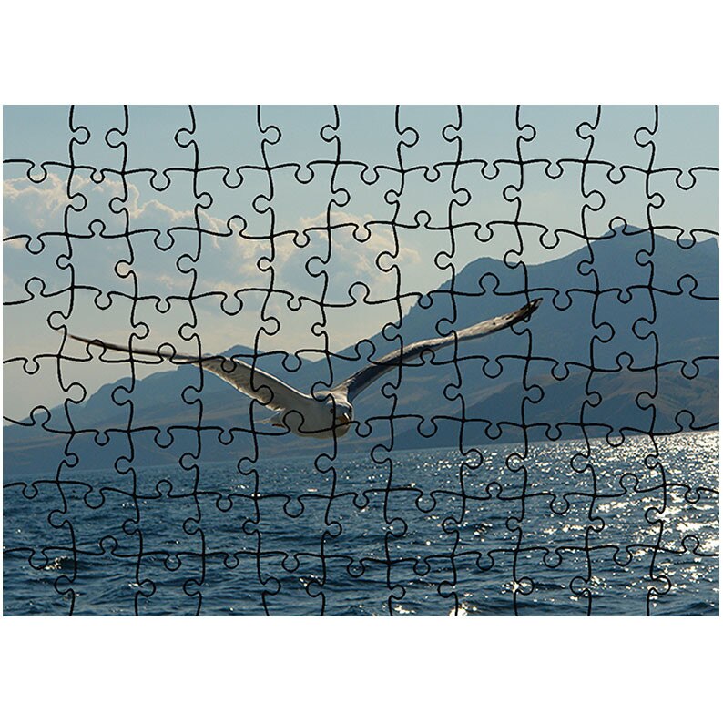 Puzzle Heartwork 96 piese, Pescarus deasupra lacului, Latime 40,5 cm x Inaltime 28,5 cm