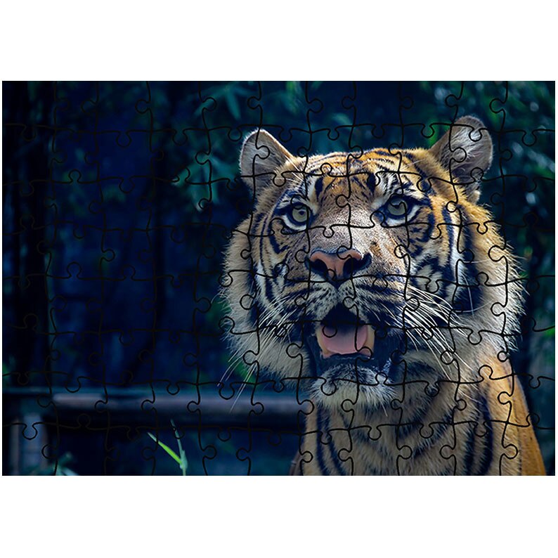 Puzzle Heartwork 96 piese, Tigru curios, Latime 40,5 cm x Inaltime 28,5 cm