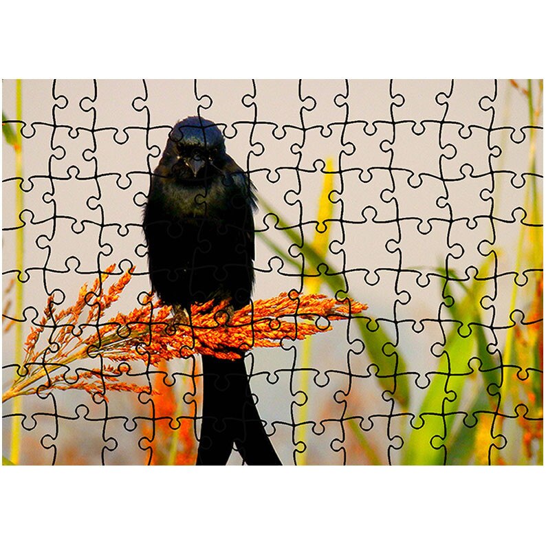 Puzzle Heartwork 96 piese, Pasare neagra, Latime 40,5 cm x Inaltime 28,5 cm