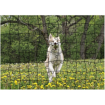 Puzzle Heartwork 96 piese, Caine alergand, Latime 40,5 cm x Inaltime 28,5 cm Puzzle Heartwork 96 piese, Caine alergand, Latime 40,5 cm x Inaltime 28,5 cm